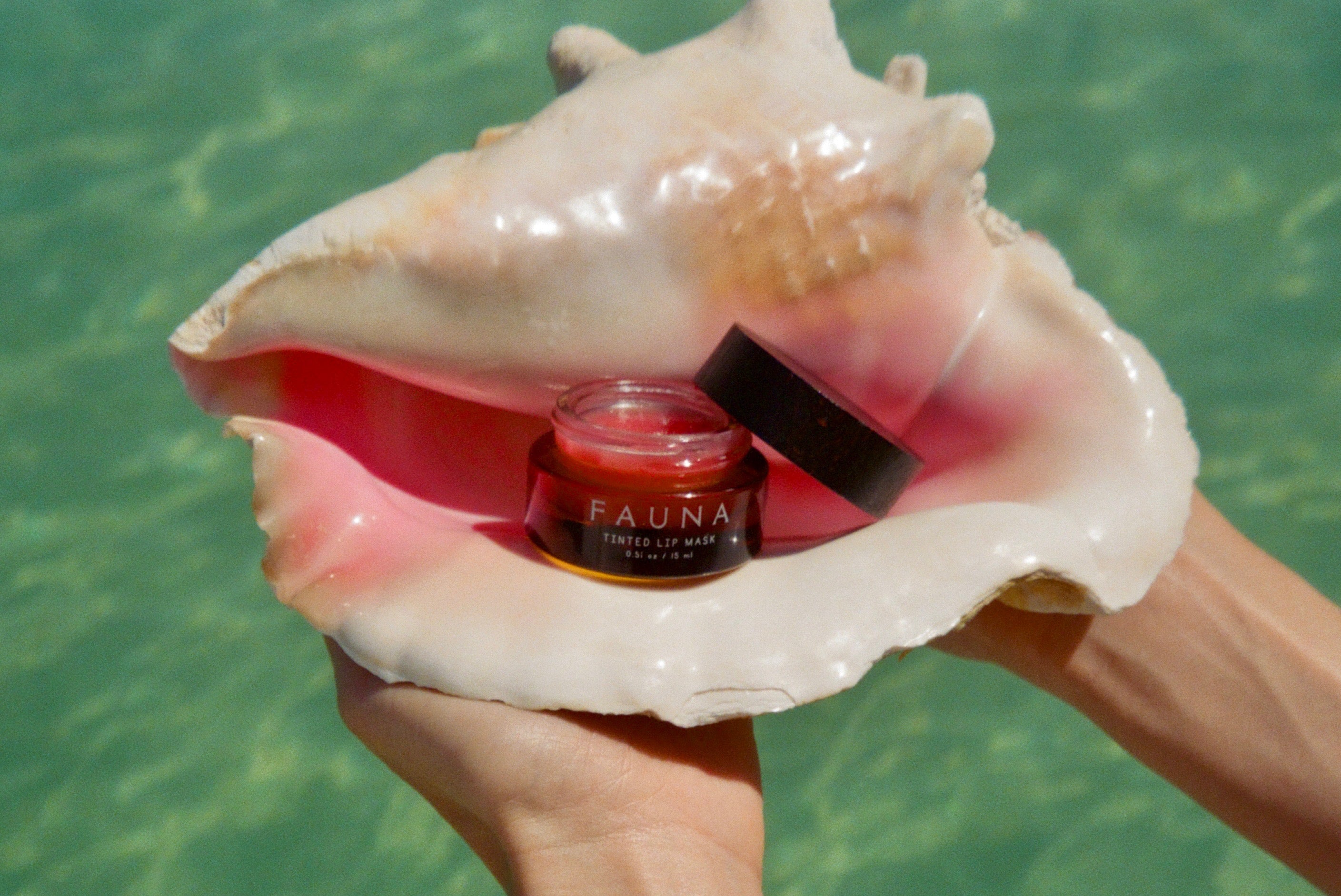 Hand holding a shell with a bottle of Fauna product against a green water background